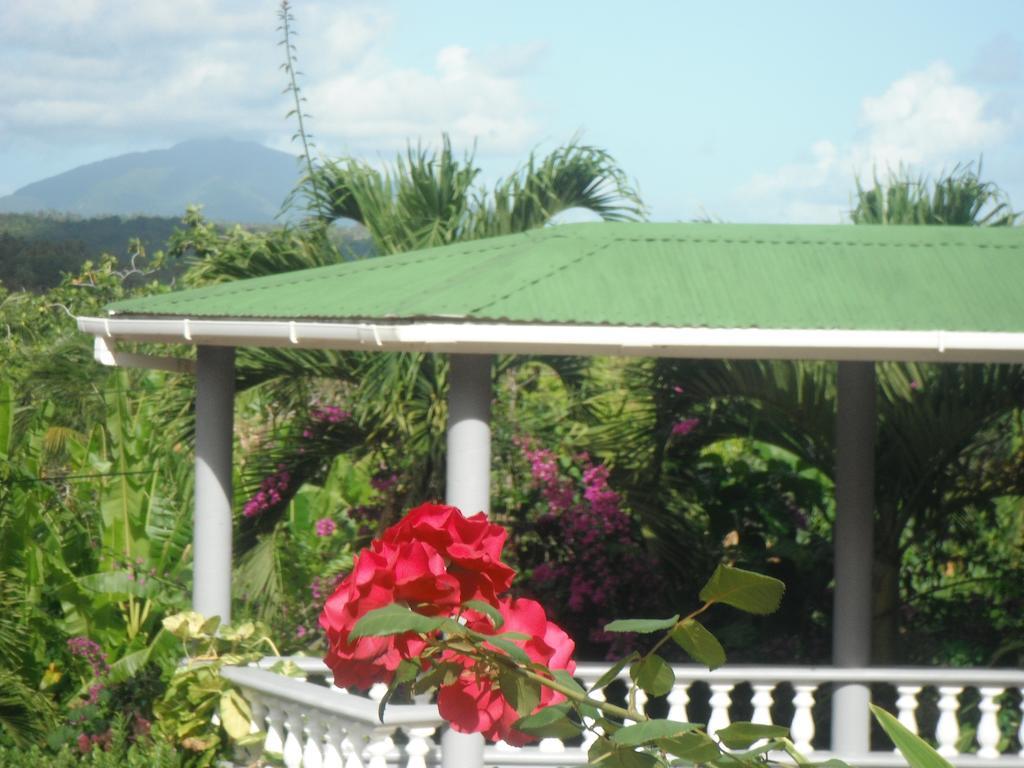 מאריגוט Classique International In Dominica חדר תמונה